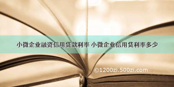 小微企业融资信用贷款利率 小微企业信用贷利率多少