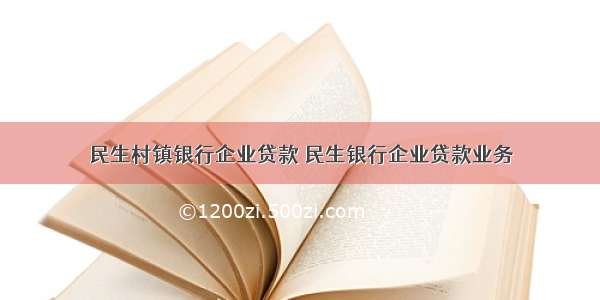 民生村镇银行企业贷款 民生银行企业贷款业务