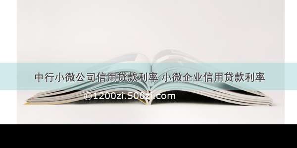 中行小微公司信用贷款利率 小微企业信用贷款利率