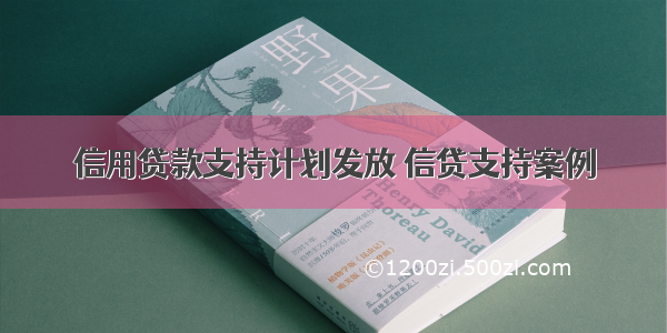 信用贷款支持计划发放 信贷支持案例