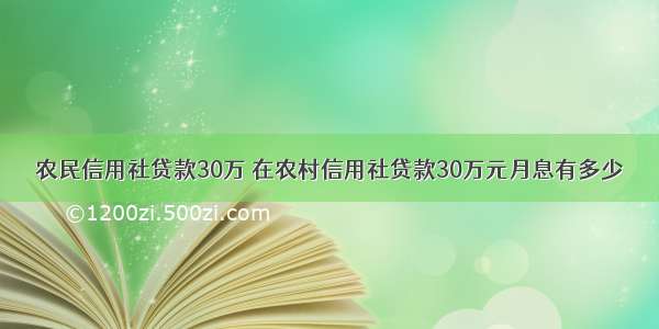 农民信用社贷款30万 在农村信用社贷款30万元月息有多少