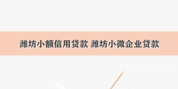 潍坊小额信用贷款 潍坊小微企业贷款