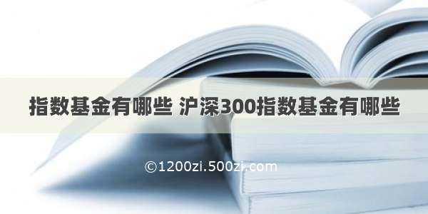 指数基金有哪些 沪深300指数基金有哪些