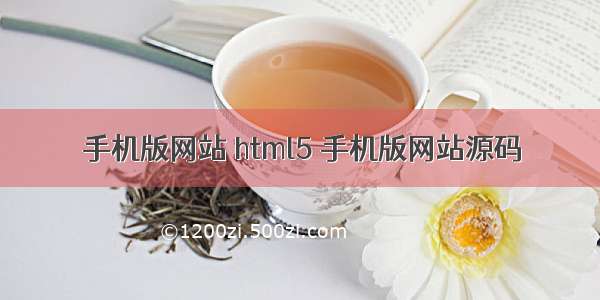 手机版网站 html5 手机版网站源码