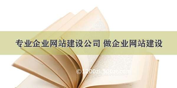 专业企业网站建设公司 做企业网站建设