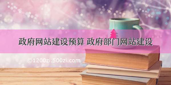 政府网站建设预算 政府部门网站建设