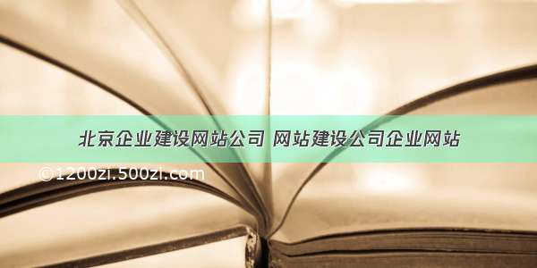 北京企业建设网站公司 网站建设公司企业网站