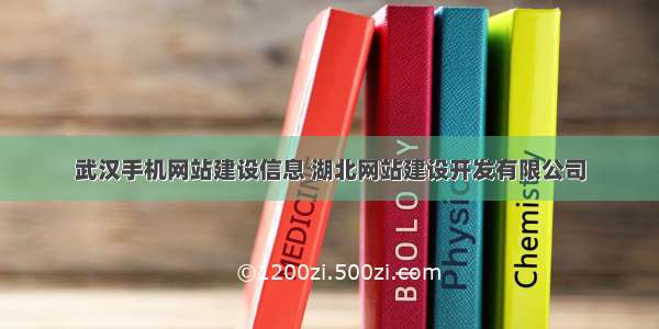 武汉手机网站建设信息 湖北网站建设开发有限公司