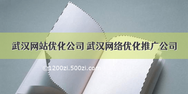 武汉网站优化公司 武汉网络优化推广公司