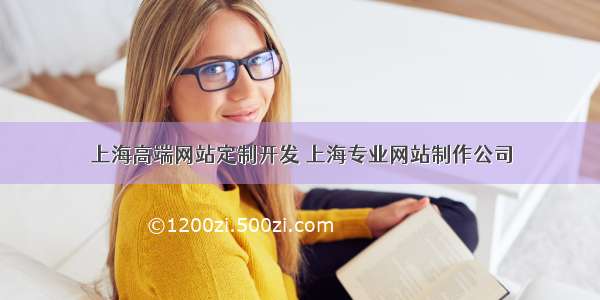 上海高端网站定制开发 上海专业网站制作公司