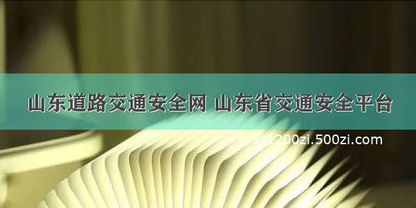 山东道路交通安全网 山东省交通安全平台