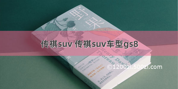 传祺suv 传祺suv车型gs8