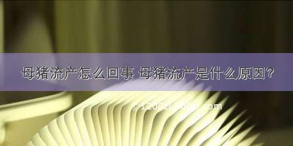 母猪流产怎么回事 母猪流产是什么原因？