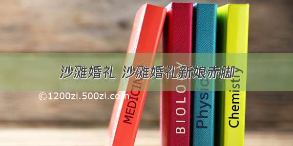 沙滩婚礼 沙滩婚礼新娘赤脚