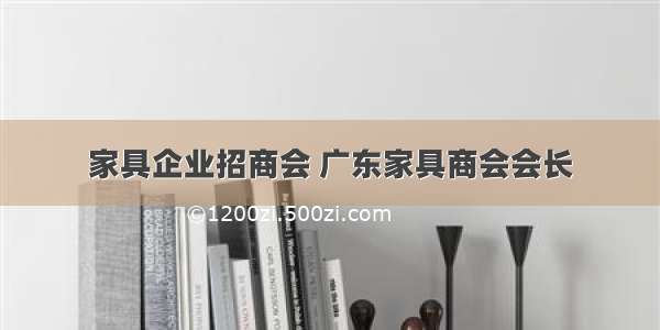 家具企业招商会 广东家具商会会长