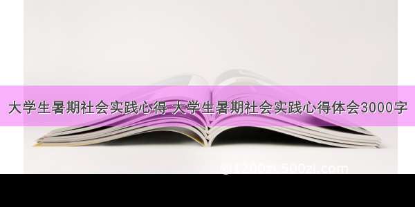 大学生暑期社会实践心得 大学生暑期社会实践心得体会3000字