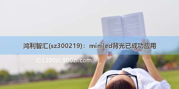 鸿利智汇(sz300219)：miniled背光已成功应用