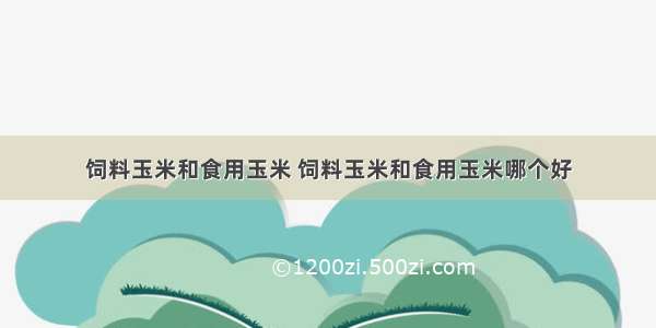 饲料玉米和食用玉米 饲料玉米和食用玉米哪个好