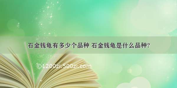 石金钱龟有多少个品种 石金钱龟是什么品种?