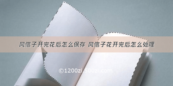 风信子开完花后怎么保存 风信子花开完后怎么处理