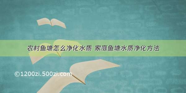 农村鱼塘怎么净化水质 家庭鱼塘水质净化方法