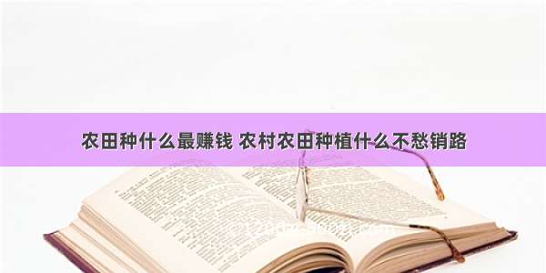 农田种什么最赚钱 农村农田种植什么不愁销路