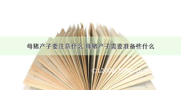 母猪产子要注意什么 母猪产子需要准备些什么