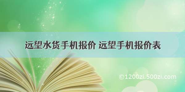 远望水货手机报价 远望手机报价表