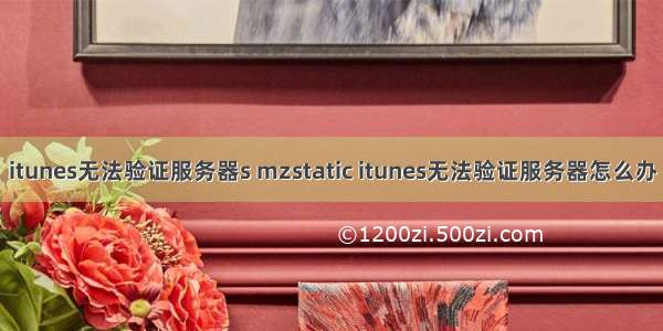 itunes无法验证服务器s mzstatic itunes无法验证服务器怎么办