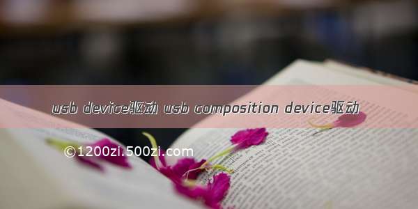 usb device驱动 usb composition device驱动