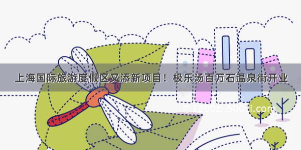上海国际旅游度假区又添新项目！极乐汤百万石温泉街开业