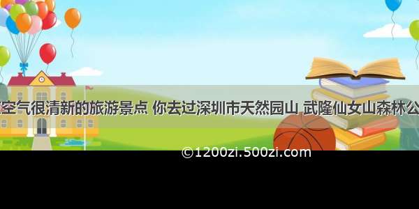 盘点空气很清新的旅游景点 你去过深圳市天然园山 武隆仙女山森林公园吗