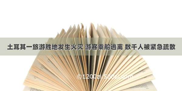 土耳其一旅游胜地发生火灾 游客乘船逃离 数千人被紧急疏散