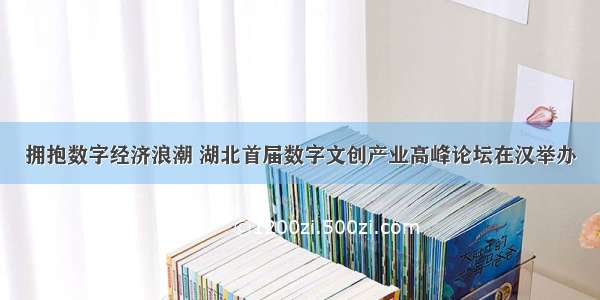 拥抱数字经济浪潮 湖北首届数字文创产业高峰论坛在汉举办