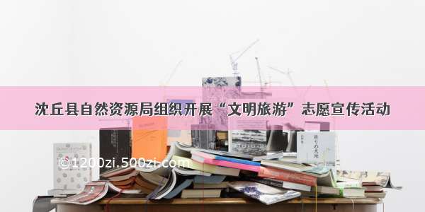 沈丘县自然资源局组织开展“文明旅游”志愿宣传活动