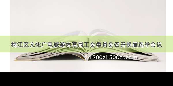 梅江区文化广电旅游体育局工会委员会召开换届选举会议