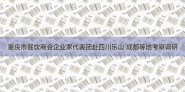 重庆市餐饮商会企业家代表团赴四川乐山 成都等地考察调研