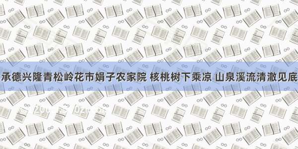 承德兴隆青松岭花市娟子农家院 核桃树下乘凉 山泉溪流清澈见底