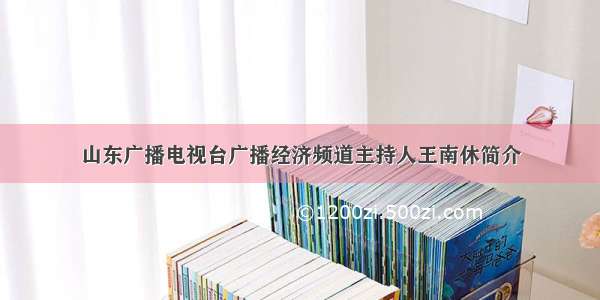 山东广播电视台广播经济频道主持人王南休简介