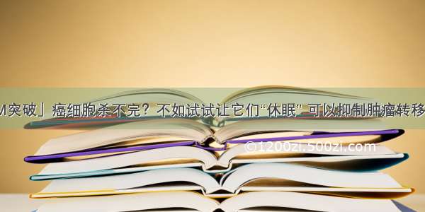 「JEM突破」癌细胞杀不完？不如试试让它们“休眠” 可以抑制肿瘤转移和复发