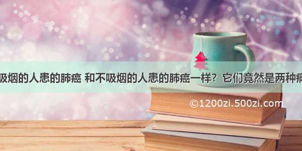 吸烟的人患的肺癌 和不吸烟的人患的肺癌一样？它们竟然是两种病