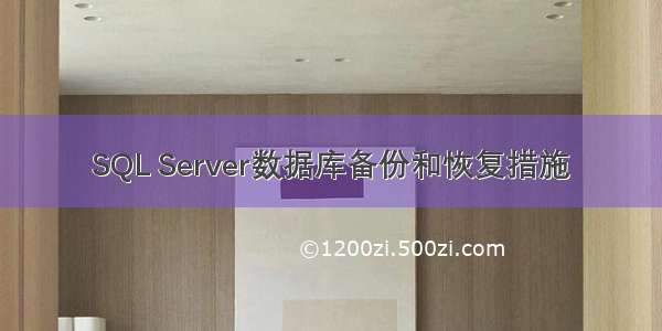 SQL Server数据库备份和恢复措施