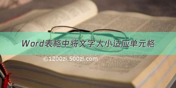 Word表格中将文字大小适应单元格