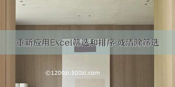 重新应用Excel筛选和排序 或清除筛选