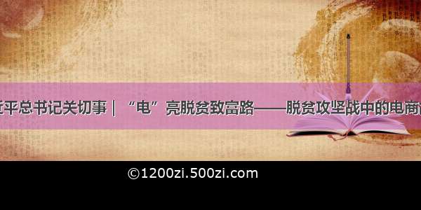 习近平总书记关切事｜“电”亮脱贫致富路——脱贫攻坚战中的电商故事