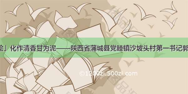 「扶贫故事绘」化作清香甘为泥——陕西省蒲城县党睦镇沙坡头村第一书记郭武超扶贫故事