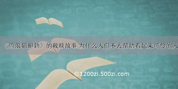 《流浪猫鲍勃》的救赎故事 为什么人们不去帮助看起来可怜的人