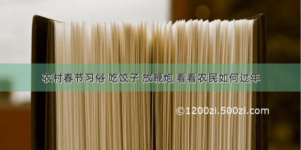 农村春节习俗 吃饺子 放鞭炮 看看农民如何过年