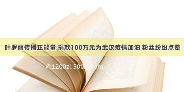 叶罗丽传播正能量 捐款100万元为武汉疫情加油 粉丝纷纷点赞