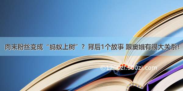 肉末粉丝变成“蚂蚁上树”？背后1个故事 跟窦娥有很大关系！